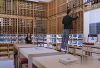 ���Ϸ��І�ľ���ƽѿޑ��ʲô�@ô����