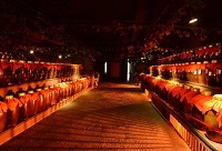 ��ʲô�׾ƾƽѱȰ׾ƾ�ƿ?j��)?ch��)�Ƹ��ã�