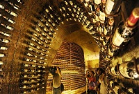 �������L(zh��ng)�İ׾ƾƽ�����